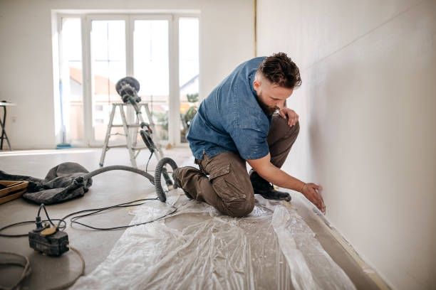 Best Drywall Crack Repair  in South Rockwood, MI