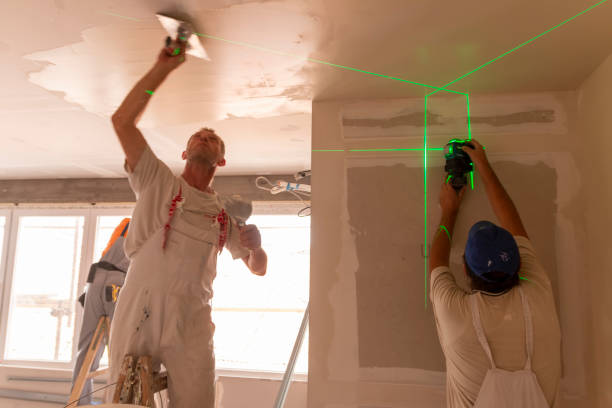 Best Fire-Damaged Drywall Repair  in South Rockwood, MI