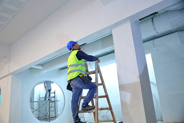 Best Water-Damaged Drywall Repair  in South Rockwood, MI